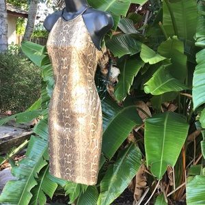 Cache sequin snake print halter sheath
